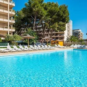 book here